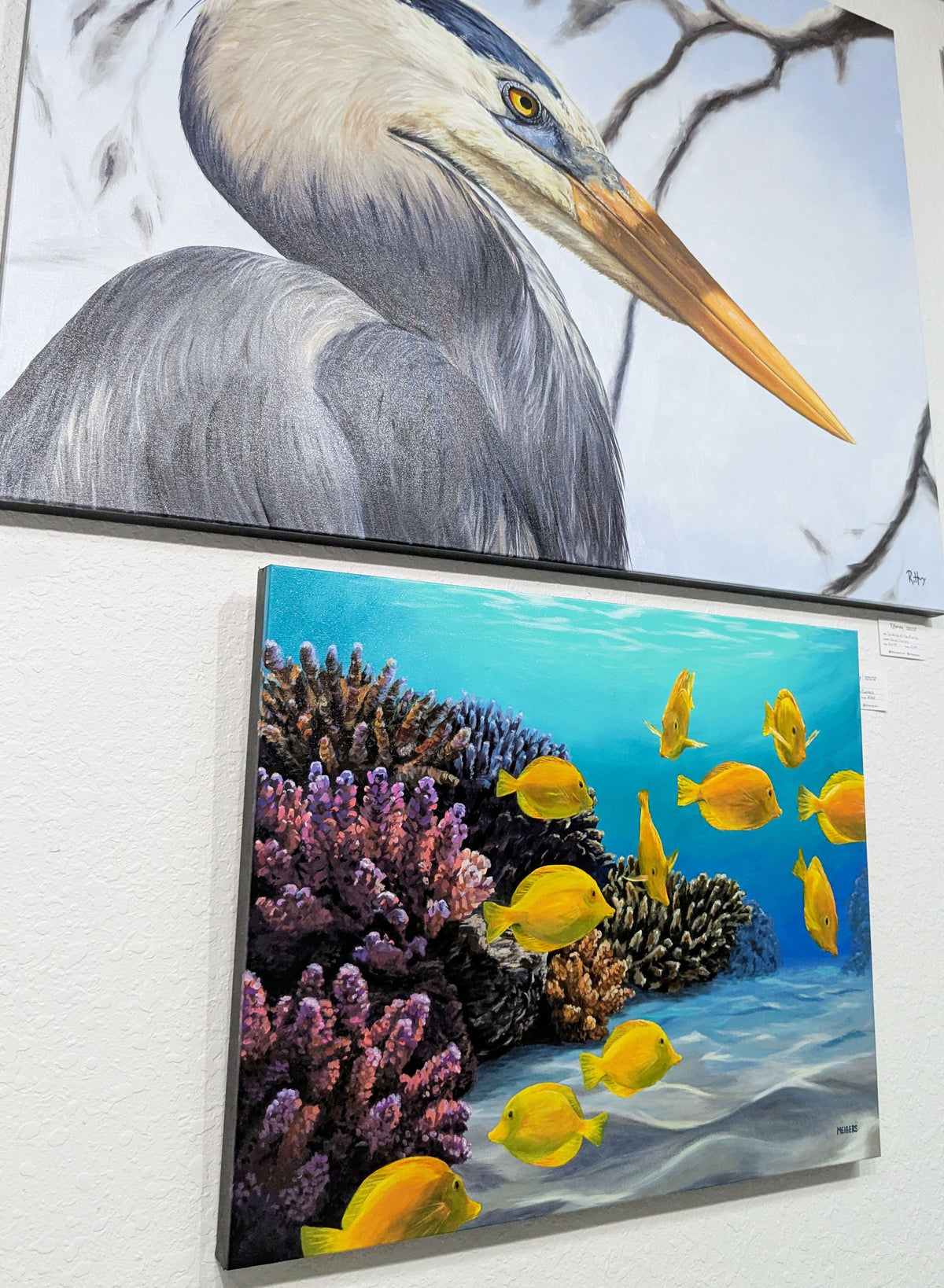 Tangy - Yellow Tang Coral Painting - Original Acrylic on Canvas - 24x30 Inches