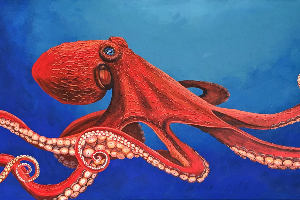 giant pacific octopus painting original art
