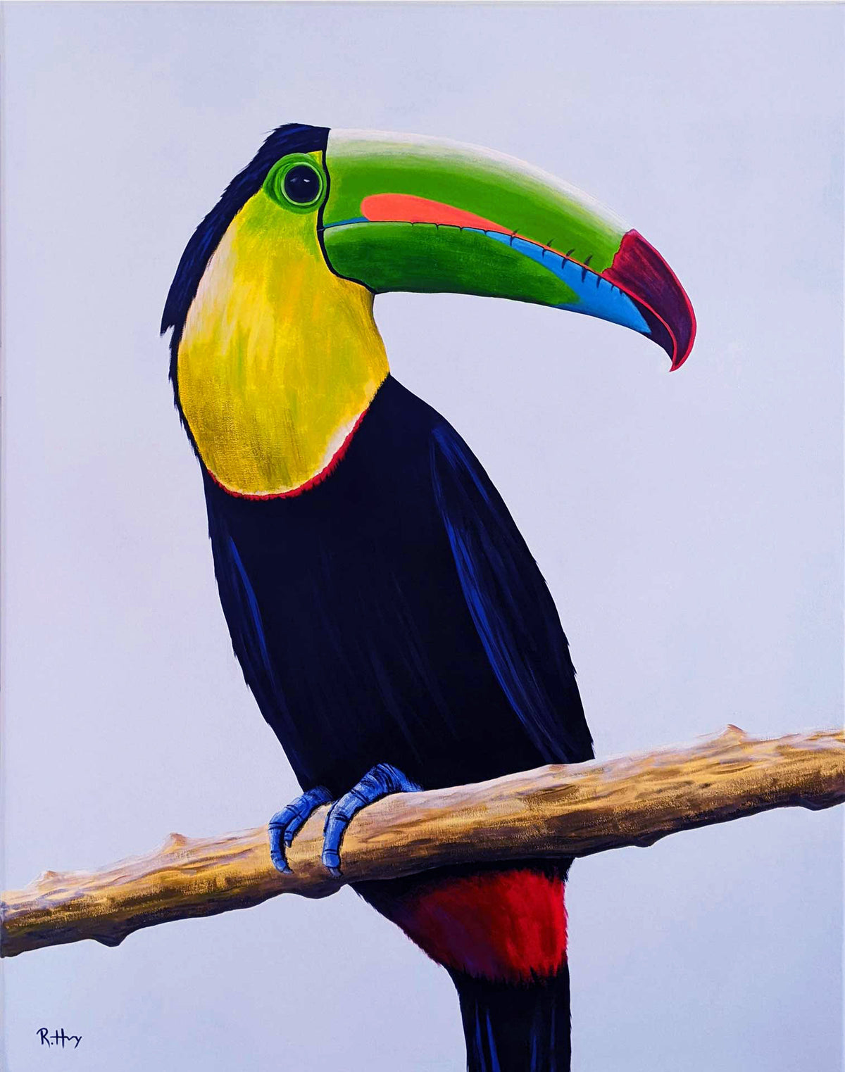 Rainbow - Toucan Painting - Original Acrylic on Canvas - 45x56 Inches