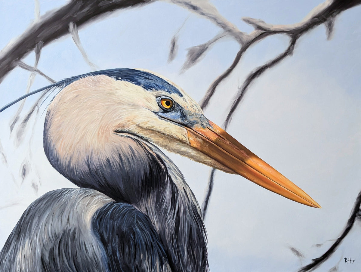 Sentinel of the Marsh - Great Blue Heron Painting - Original Oil on Canvas - 36x48 Inches